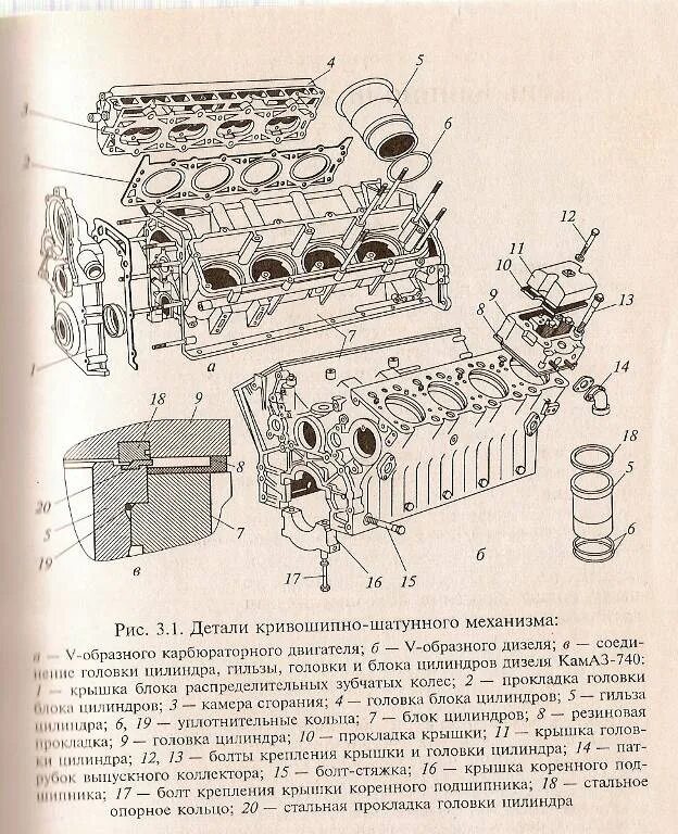 Головка состоит из
