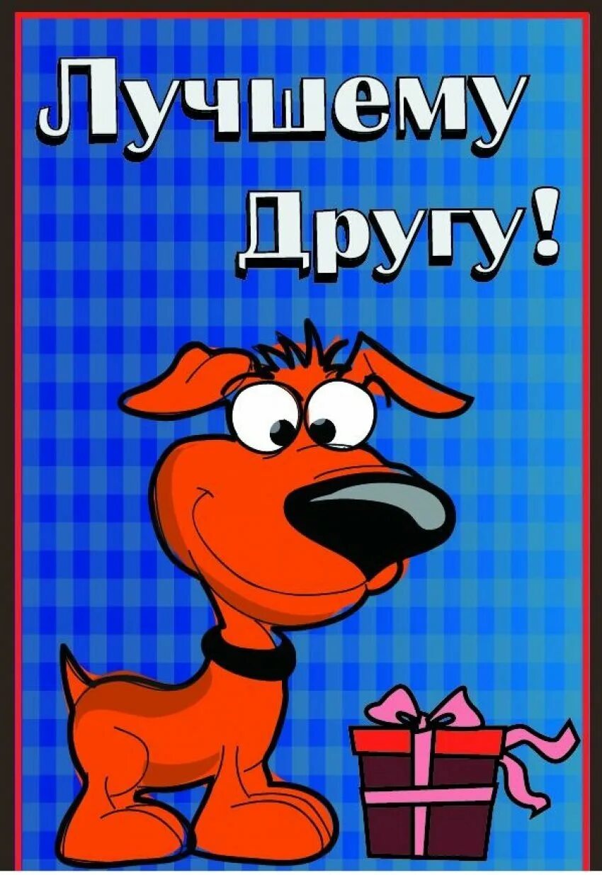 Дружище картинки