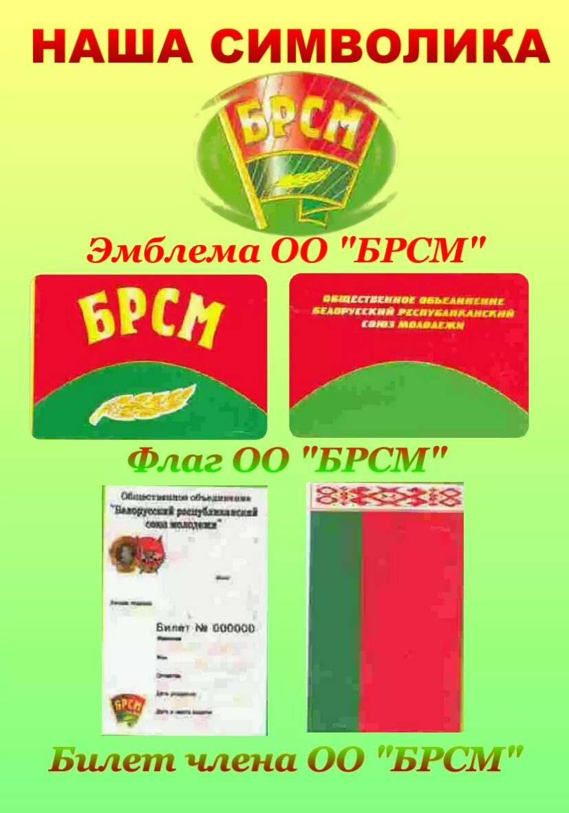 Брсм «белорусский республиканский союз молодежи». Переходник с 3/4 на брсм. Символ брсм. Символ брсм. Брсм логотип рб.