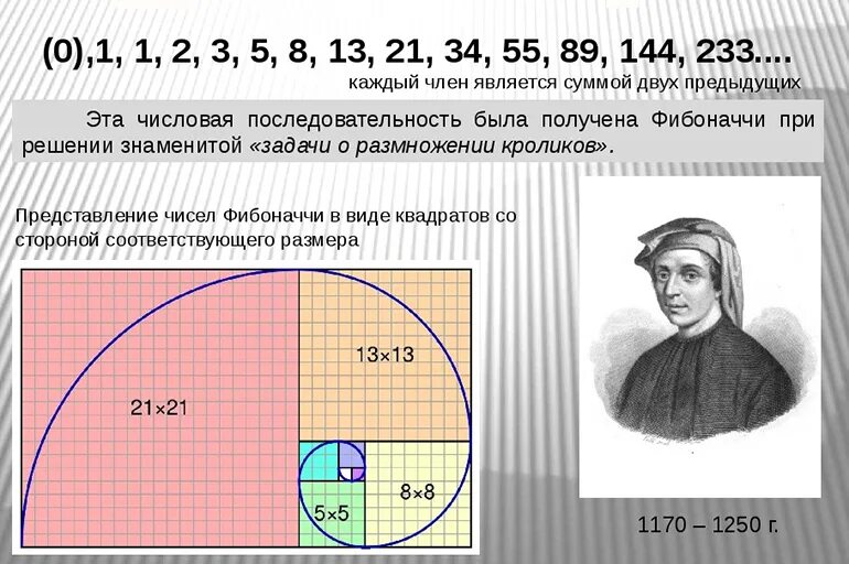 Последовательность фибоначчи программа. Леонардо пизанский золотое сечение. леонардо фибоначчи золотое сечение. числовой ряд фибоначчи и золотое сечение. леонардо фибоначчи последовательность.