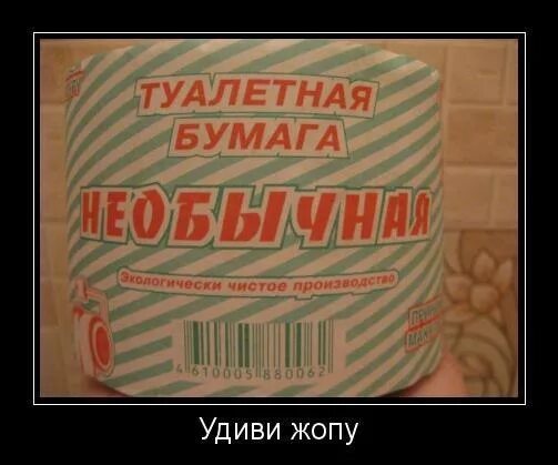 Шутки про туалетную бумагу. Туалетная бумага демотиватор. Туалетная бумага прикол. Туалетная бумага с анекдотами. Удиви республику