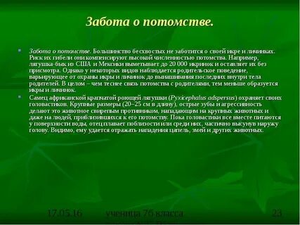Презентация забота о животных