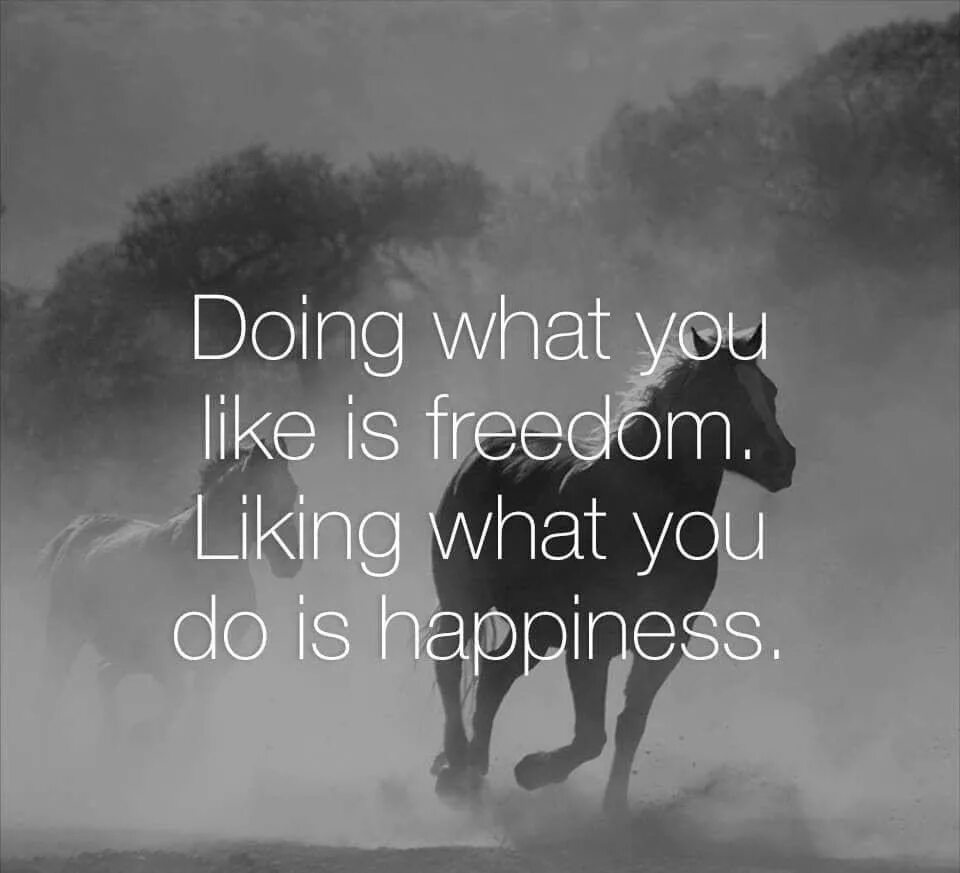 Say what you liked best. Doing what you like is Freedom. What do you like. To do what you like is Freedom. To like what you do is Happiness..