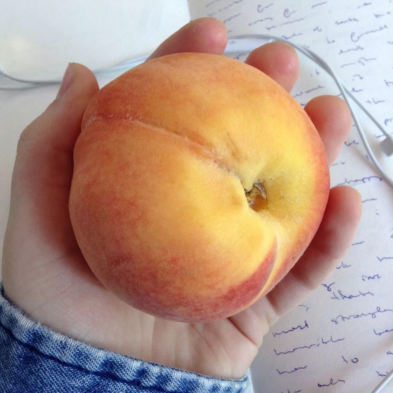 Ребенок с персиком в руках. Рука держит персик. Персик в руках у девушки. Большой персик. Рука держит персик.