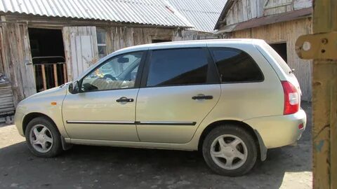 502 дыня