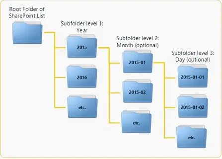 Root folder