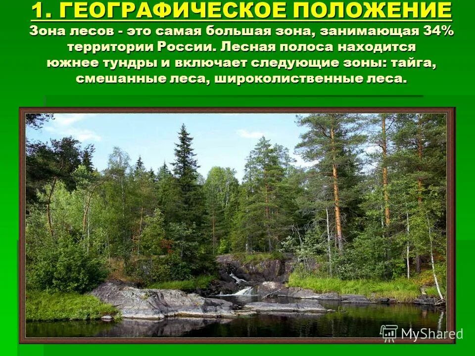 Природные зоны россии смешанные и широколиственные леса. Широколиственные леса климат. Расположение смешанных и широколиственных лесов в россии. Географическое положение широколиственных лесов на карте. Географическое положение зоны леса.