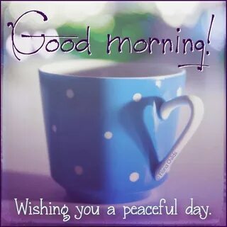 Hello nice morning