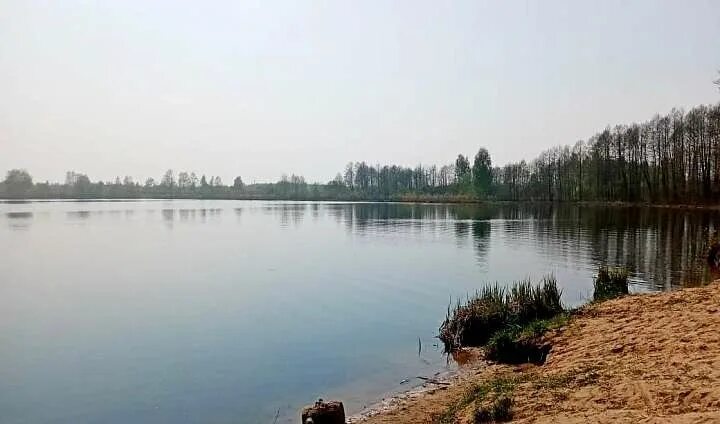 речные водохранилища. затопление лесов богучанская гэс. ириклинское водохранилище гэс. котловинные водохранилища. типы водохранилищ.