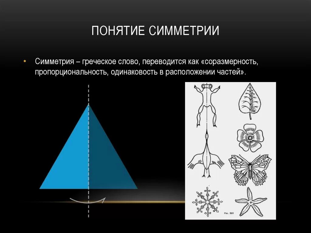 Схема симметрии. Понятие симметрии. симметричные изображения. симметричные предметы. понятие симметрии и асимметрии.