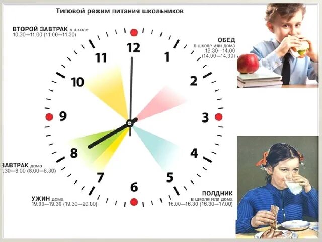 Типичный режим. Режим питания школьника. Режимптания школьника. Распорядок питания школьника. Соблюдение режима правильного питания.