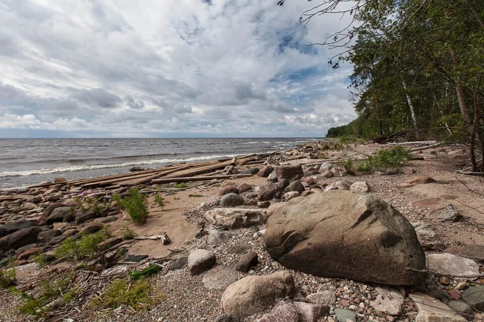 Мыс Рожновский Рыбинское водохранилище. Мыс Рожнов Рыбинское водохранилище. Ларионовский мыс Рыбинское водохранилище. Федосов мыс Рыбинское водохранилище.