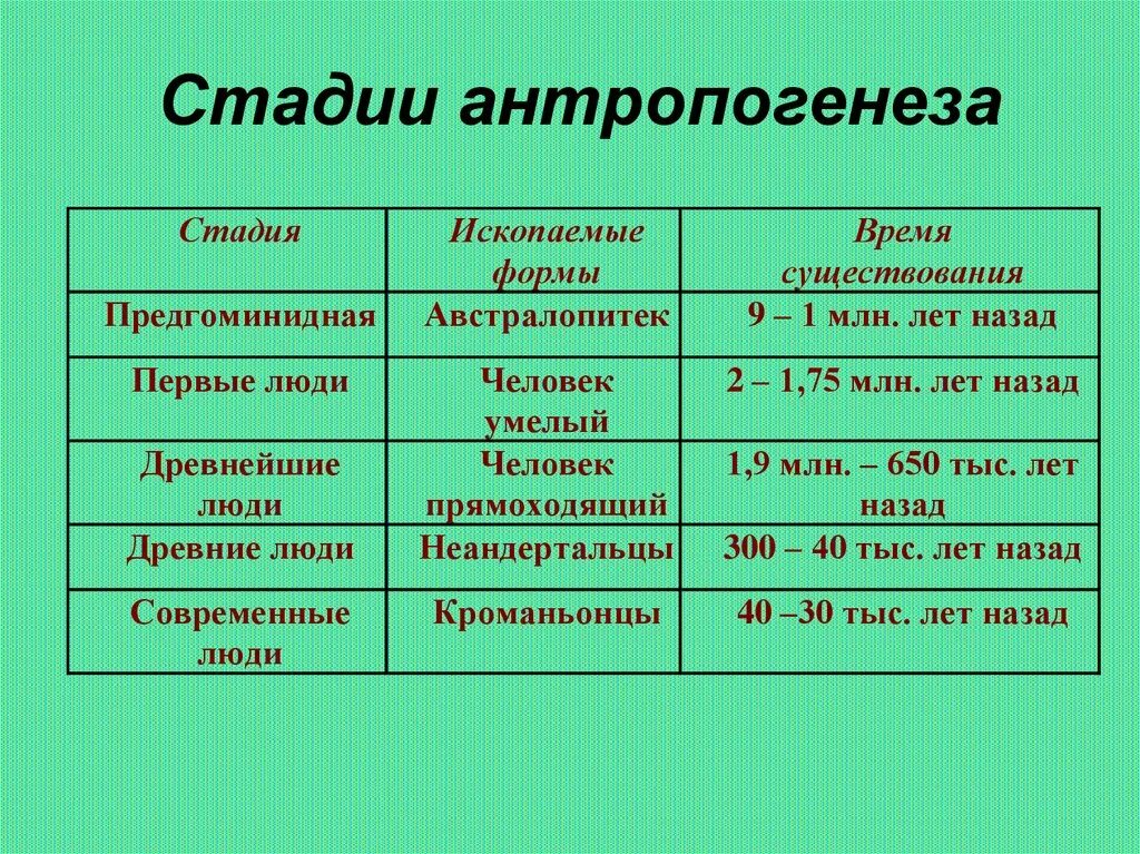 Характеристика этапов антропогенеза. Мтауидии антропогенеза. Стастадии антропогенеза. Стадии антропогенеза.