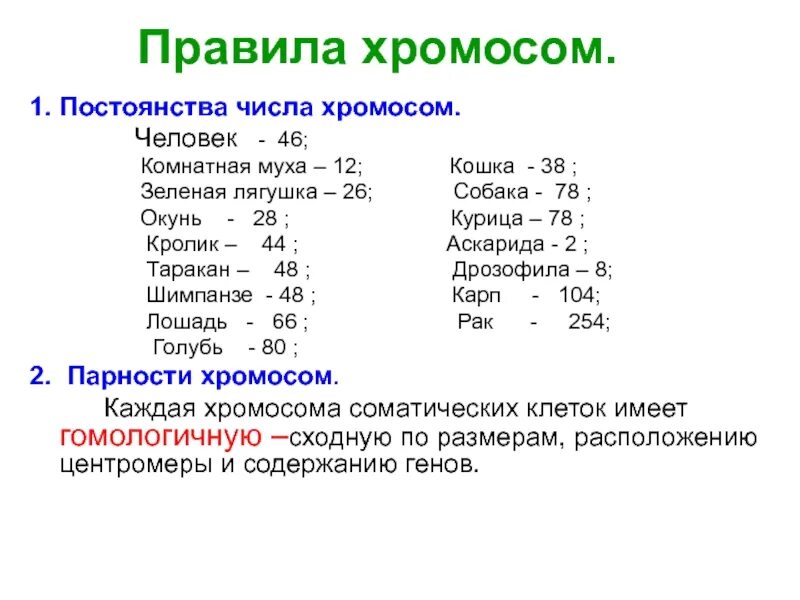 Собаки какое число. Хромосомы у животных таблица. число хромосом таблица. правило постоянства хромосом. хромосомы растений.
