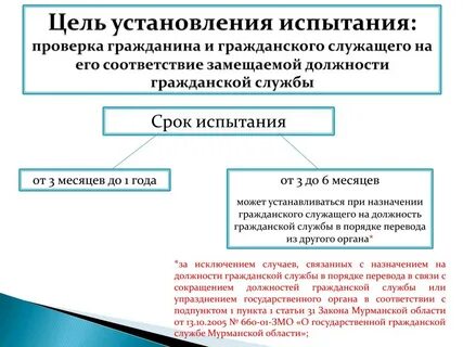 Поступление на государственную службу испытание