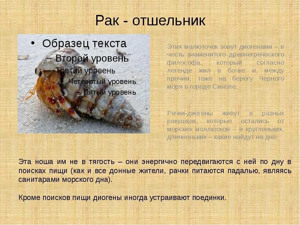 Тип питания рака