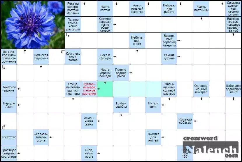 Трава с голубыми цветами 7 букв сканворд. Кроссворды средней сложности. Садовые цветы сканворд. Кроссворд цветы.