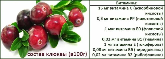 Клюква при температуре. Клюква при цистите. цистит клюква. клюквенный морс при цистите. клюквенный морс цистит.