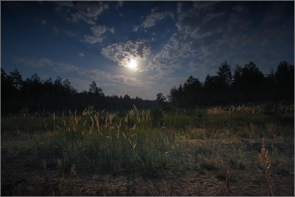 Лунными полянками