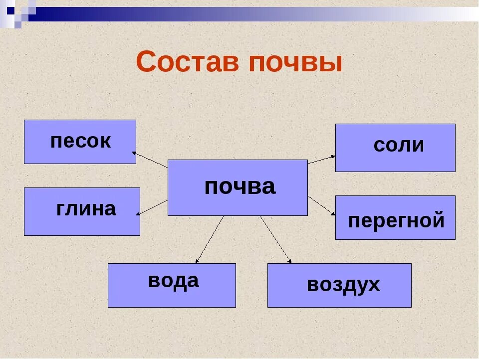 Что входит в состав почвы