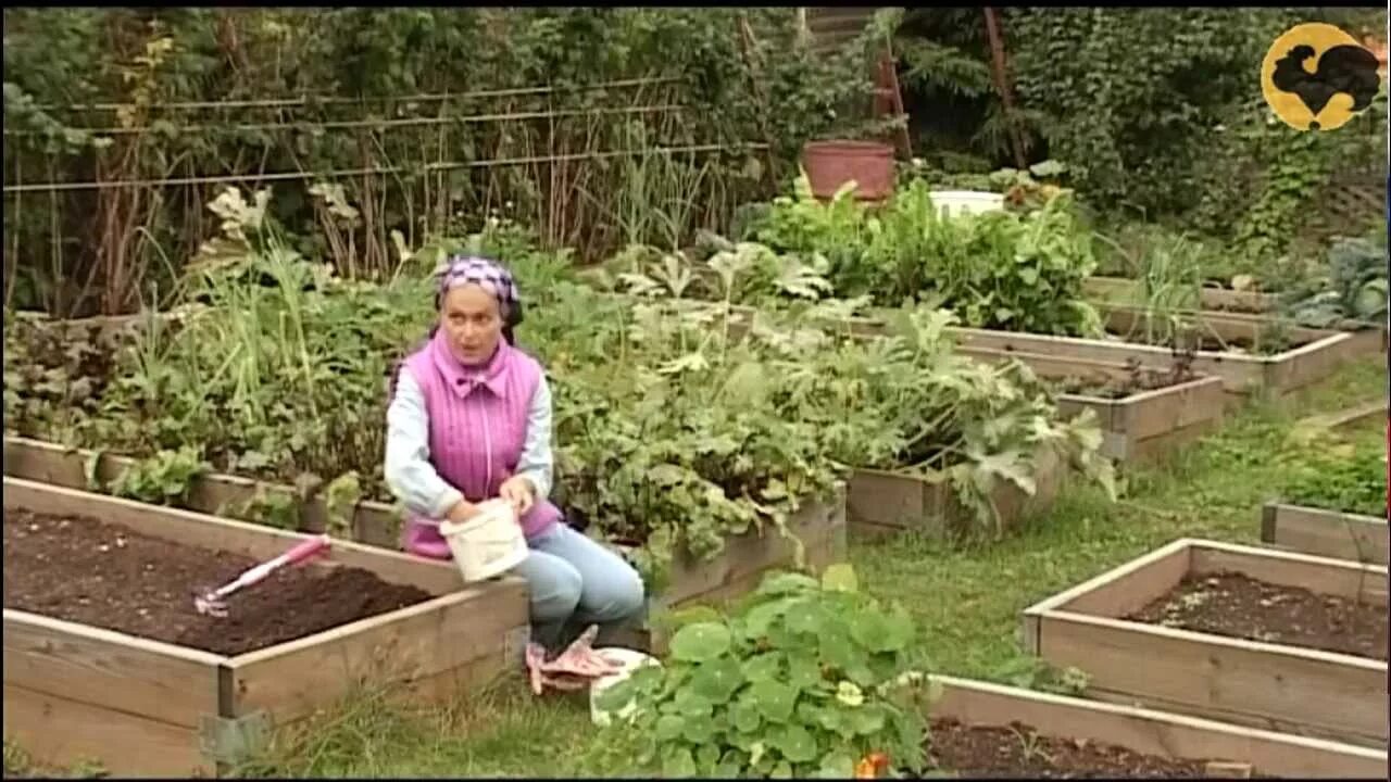 Жизнь в карасевке ютуб. Передача сад и огород. Телепередача про сад и огород. Канал сад огород.