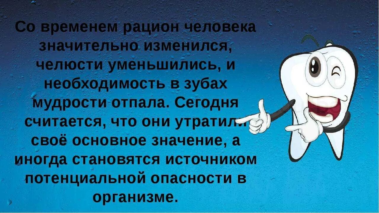 Почему зубы мудрости так называются