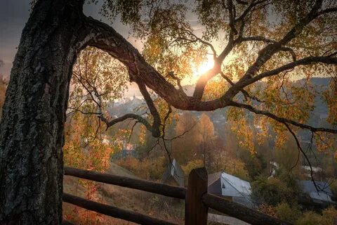 Пейзажи ветка