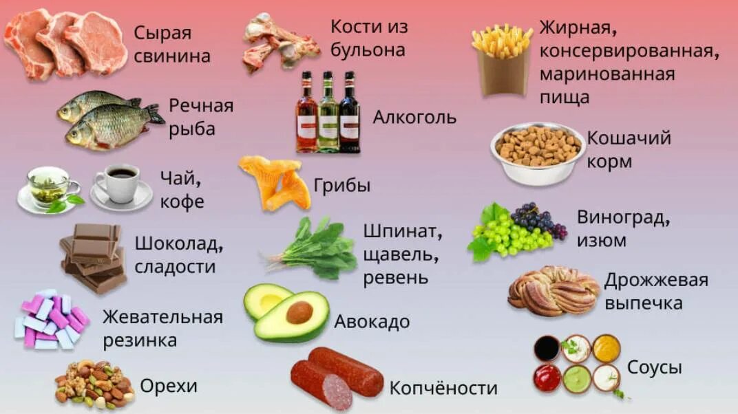 Можно собаке давать фрукты. Список запрещенных продуктов для собак. Запрещенные продукты для собак список. Что нельзя давать собакам. Продукты которые нельзя собакам.