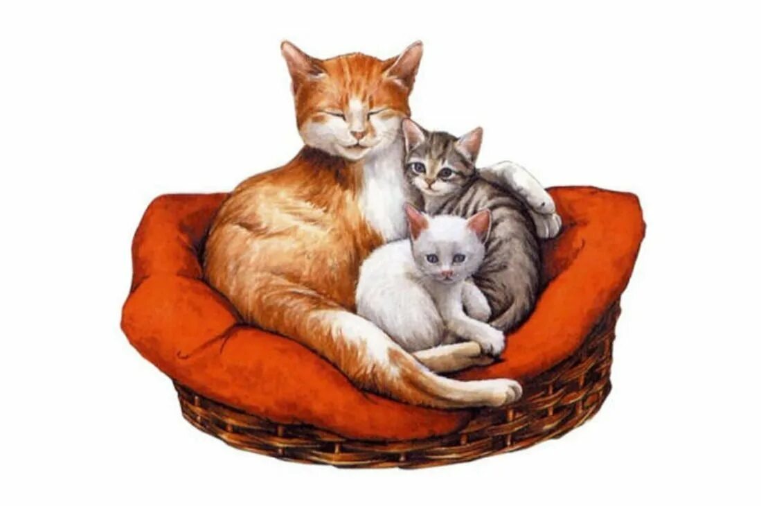 Дисней коты аристократы, мари. Кошка с котятами иллюстрация. Коты аристократы тулуз тулуз. Кошка клипарт на прозрачном фоне. Коты аристократы котята.