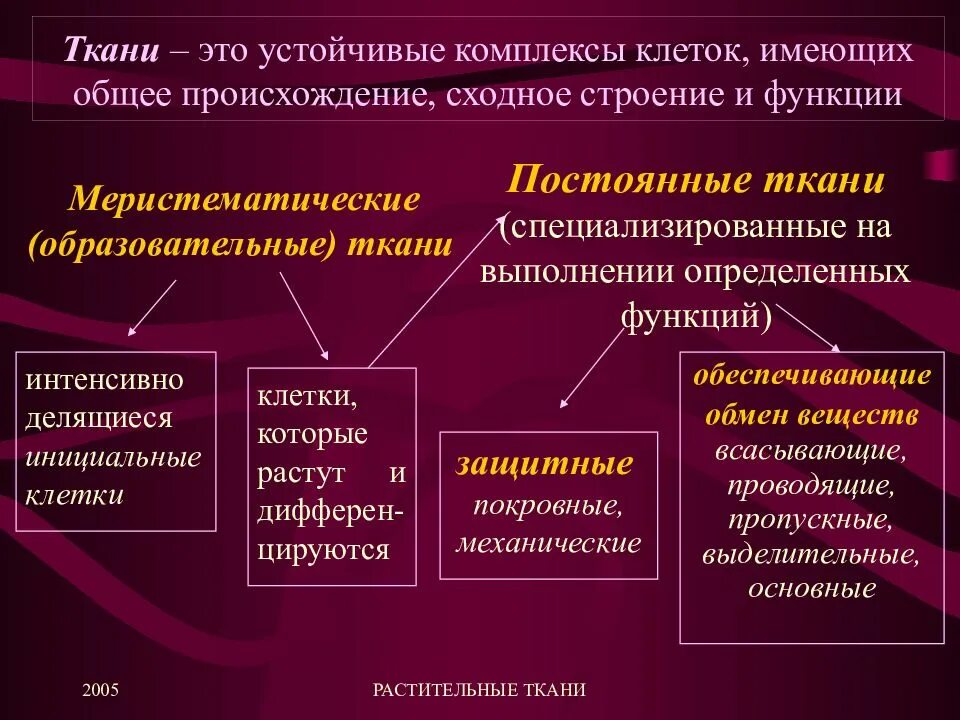 Сходные по строению функциям и происхождению. Постоянные ткани. К числу постоянных тканей не относятся. Классификация постоянных тканей. Непрерывные ткани.