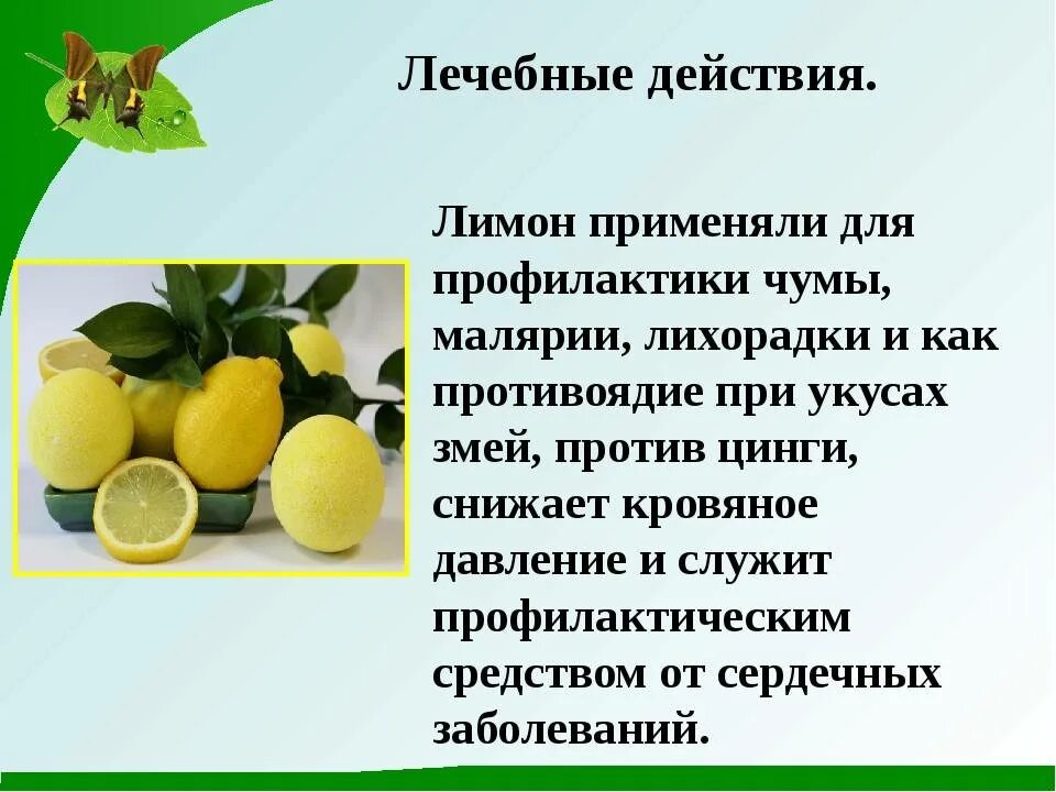 Лимон польза отзывы. Чем полезен лимон. Сообщение о лимоне. Полезные свойства лимона. Лимон полезные вещества.