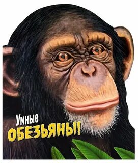 Обезьяны литература