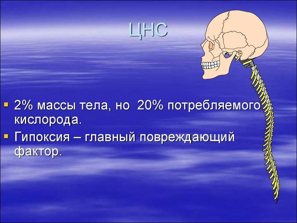 Причины гипоксии мозга. Гипоксия головного мозга симптомы у взрослых. Признаки гипоксии головного мозга. Реакция мозга на гипоксию. Гипоксия мозга у взрослого.