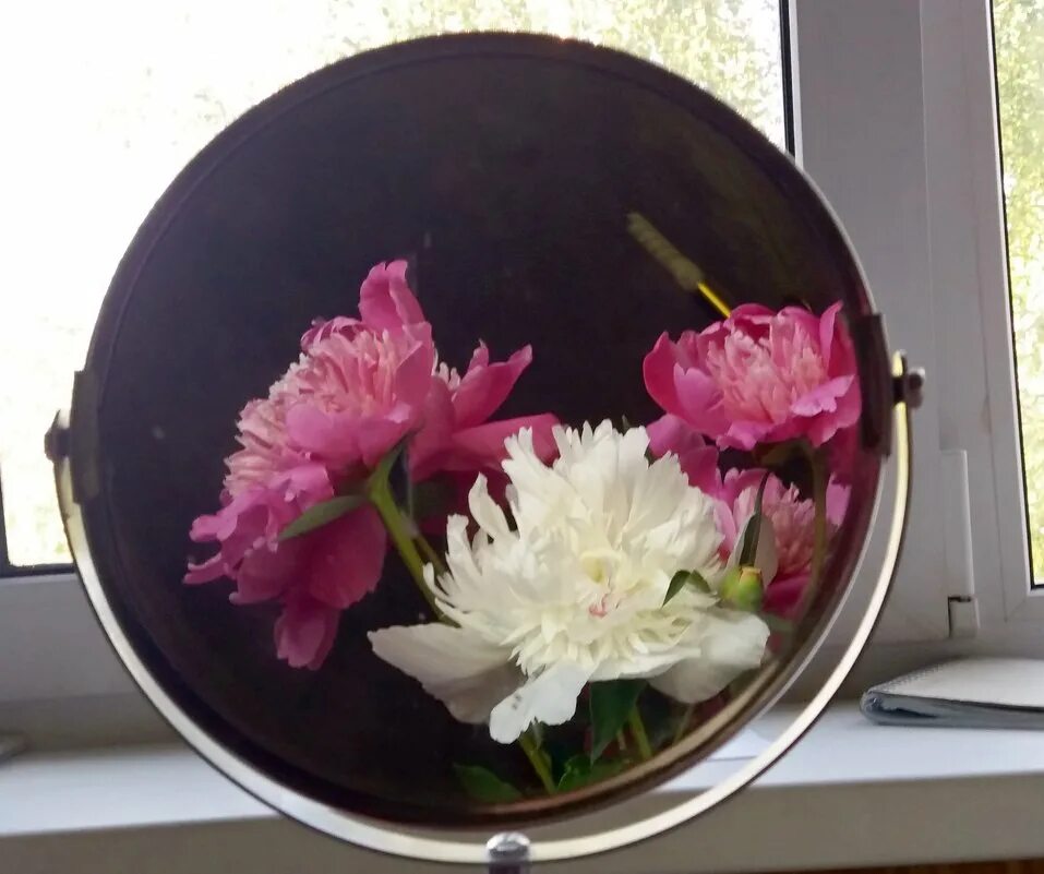 Зеркало цветы. Отражение цветов в зеркале. Отражение пион. Отражение цветка в зеркале.