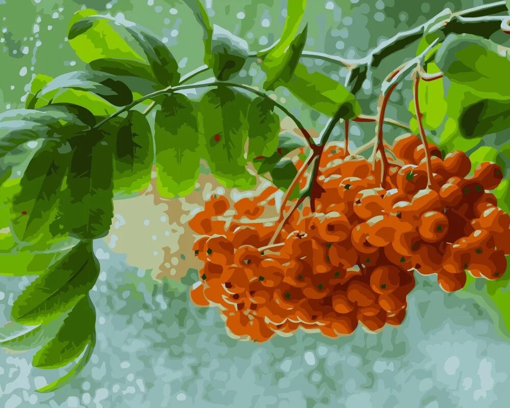 рябина амурская. веточка рябинки. рябина амурская. листик рябины. ветка рябины.