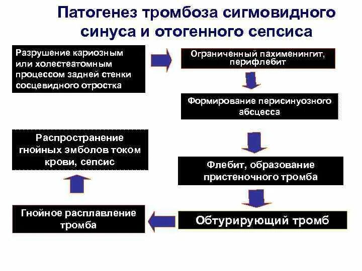 Механизм развития тромбоза. Патогенез тромбоза. Патогенез отогенного сепсиса. Тромбофлебит механизм развития. Механизм тромбоза