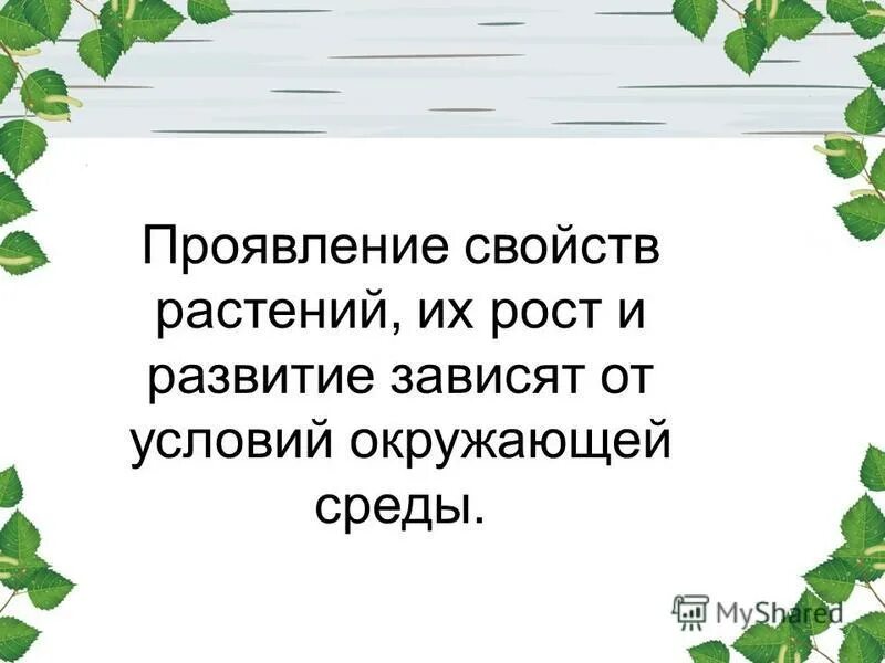 растения индикаторы кислотности почвы щелочной. факторы роста и развития растений. факторы влияющие наростения. адаптации у растений к засоленности. зависимость растений от среды.