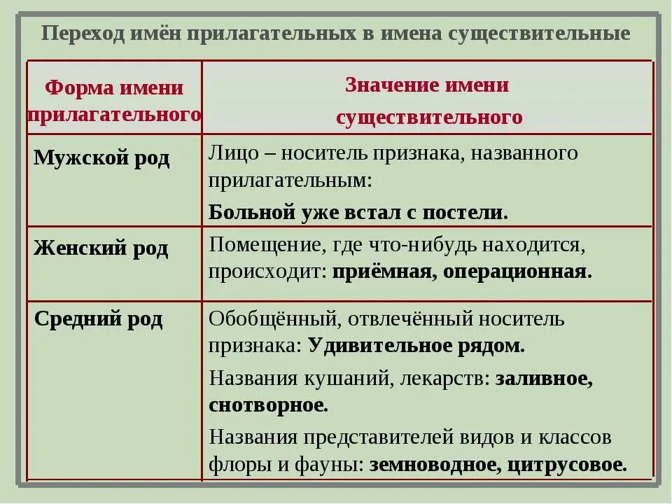 Прилагательное существительное удивительный. Переход прилагательных в существительные. Переход из прилагательного в существительное. Переход из существительного в прилагательное. Переход существительных в прилагательные.