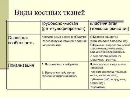 К какому виду ткани относится костная ткань