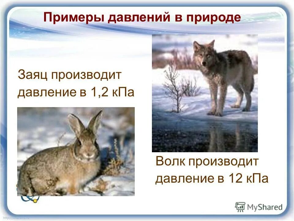 Давление в природе и технике примеры. 3 примера давления. Способы увеличения давления. Давление в природе и технике. Способы увеличения и уменьшения давления.
