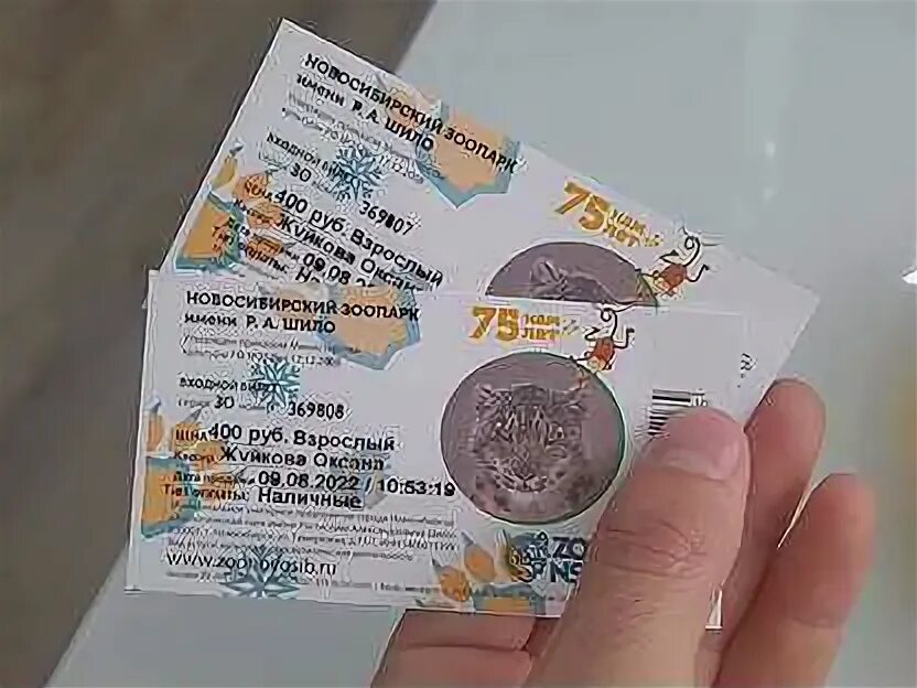 Цирк новосибирск арена. Схема ивановского цирка зала. Новосибирский цирк новосибирска. Билеты в зоопарк новосибирск. Цирк билеты тюмень.