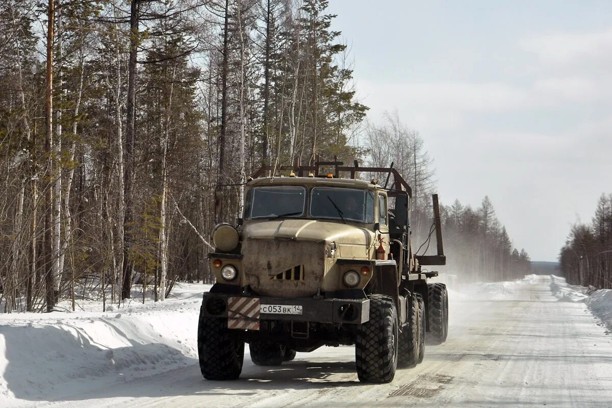 Якутия урал. Урал 43206 лесовоз. Урал 43204 лесовоз. Урал 43206-41. Урал 4320 хлыстовоз.