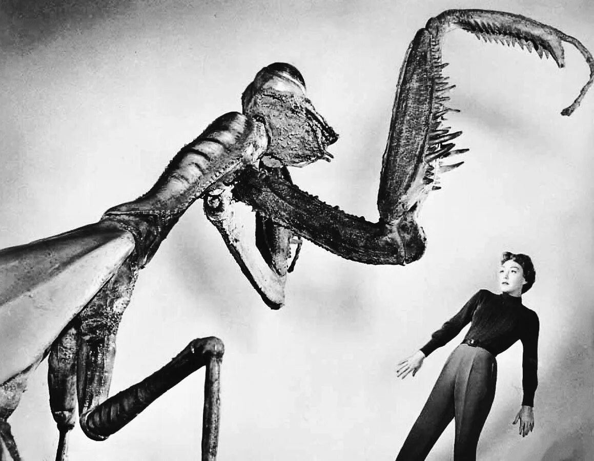 Богомол сюжет. The Deadly Mantis 1957.