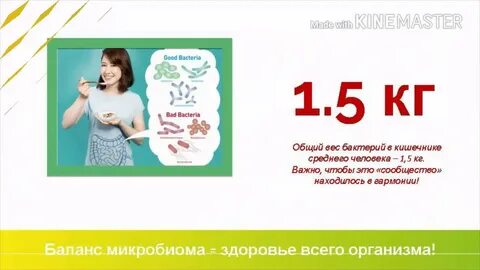 Коралловый кишечник
