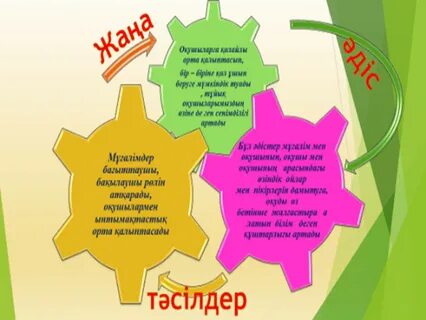 Баласын аузында ұстаған әйелдің порно видеосы