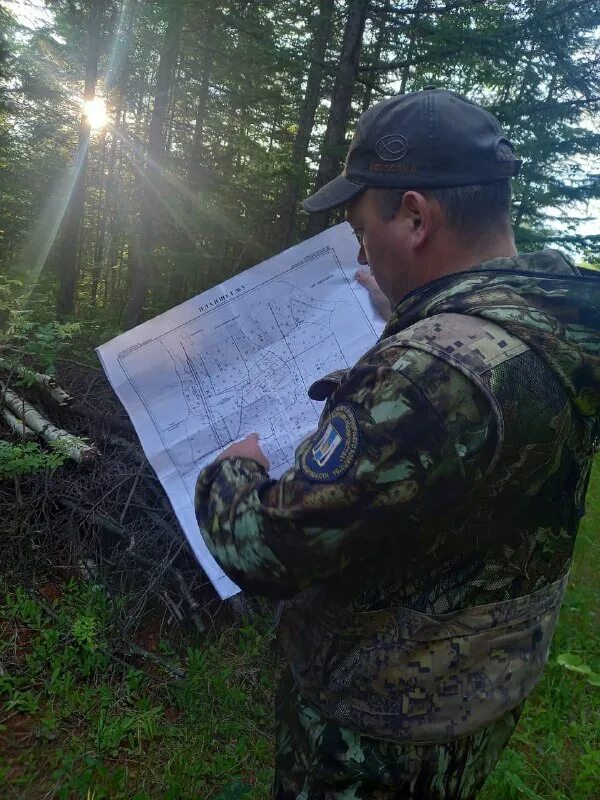 агентство лесного и охотничьего хозяйства сахалинской