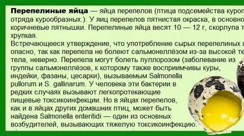 Яичный скольки месяцев можно