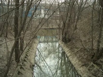 Устье реки ручья