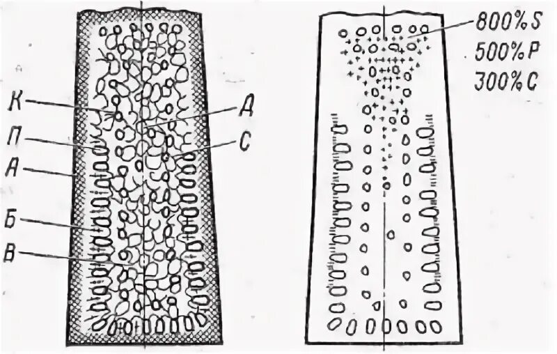 Сталь кипящая полуспокойная. Кипящая сталь строение слитка. Кипящая спокойная полуспокойная сталь. Строение стального слитка кипящей стали. Строение слитка полуспокойной стали.