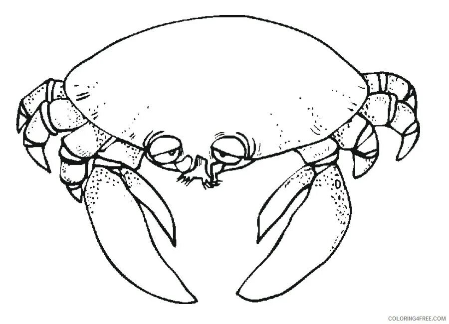 А4 краб. Краб раскраска. Краб раскраска для детей. Краб рисунок. Ракообразные раскраска.
